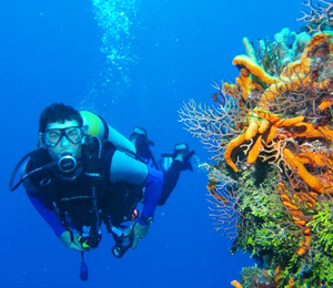 Vallarta Scuba Dive